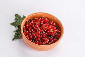 Sweet ripe red currant berries