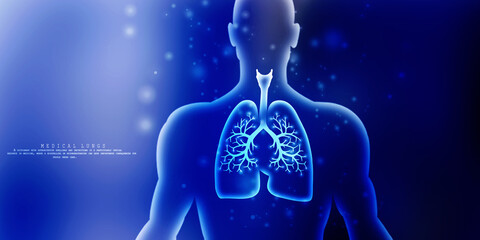 Healthy Human Lungs 3d illustration