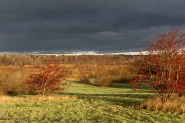 Beautiful arial view of the autumn landscape with a dramatic rain cloud and yellow trees