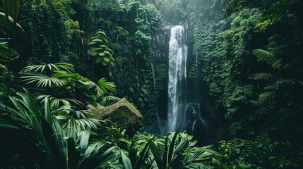 A beautiful waterfall in the middle of a lush green jungle. The waterfall is surrounded by tall trees and green plants. - obrazy, fototapety, plakaty