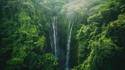 Amazing view of a waterfall in the middle of a green forest. The waterfall is surrounded by tall trees and green plants. - obrazy, fototapety, plakaty