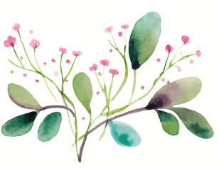 watercolor arrangements with small flower. Botanical illustration minimal style