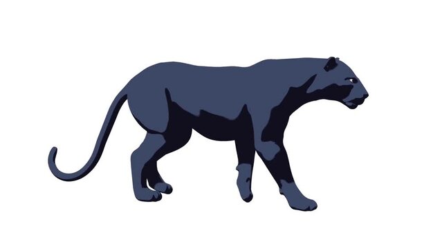 Cartoon black panther walks 