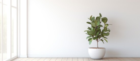 A potted plant sits on a wooden floor against a white concrete wall in a bright living room of a modern Scandinavian house.