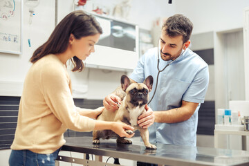 Pet health examination - 747354242