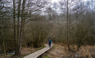 Woman and dog wandering through a swamp area by river Ourthe, Belgium
