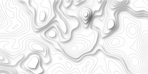The stylized height of the topographic map in contour, lines. Topography and geography map grid abstract backdrop. creative cartography illustration. Black and white landscape geographic pattern.