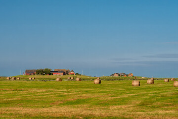 Ockelutzwarft and Mitteltritt on Hallig Hooge, North Frisia, Schleswig-Holstein, Germany