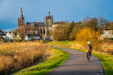 St. John's Cathedral in 's-Hertogenbosch seen from Bossche Broek nature reserve
