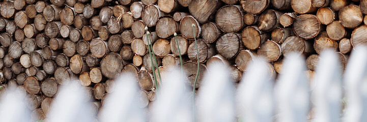 Stacked wood logs behind a white picket fence. Front view of natural and man-made elements in harmony. Concept for home improvement and nature-inspired design ideas. Banner with copy space.