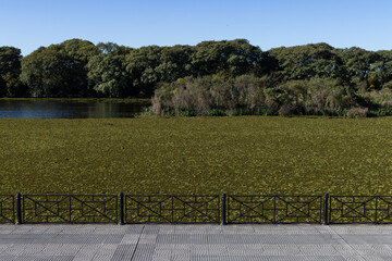 Walkway along the Beautiful Buenos Aires Ecological Reserve Lagoon with Water Lilies and Green...