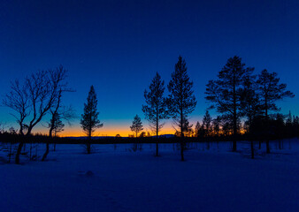 Mystical Swedish Winter Wilderness: Nocturnal Snowscape Under the dark Sky in Northern Europe