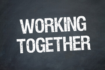 Fototapeta premium working together 