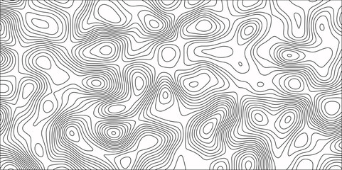 Topographic Map in Contour Line Light Topographic White seamless marble texture. Panorama view gradient multicolor wave curve lines banner background design.