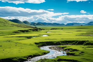 Fototapeta na wymiar Mongolian green valley with a stream and mountains, stunning impressive landscape, nature without people.