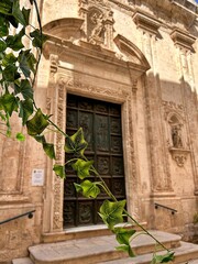 historic church, large entrance door in a baroque church, a twig of a climbing plant on the background of the church, sandy church facade