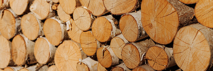 Cross section of tree trunks, timber background. Log trunks pile, the logging timber wood industry....