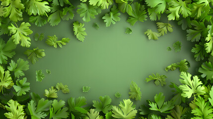 Green parsley top down background