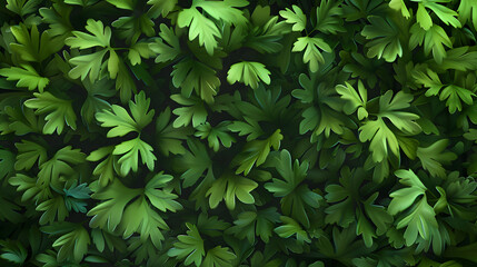 Green parsley top down background - obrazy, fototapety, plakaty