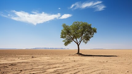 Single Green tree in the desert