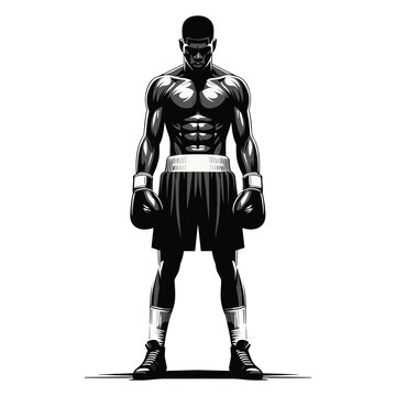 Boxer Full Body Images – Browse 2,689 Stock Photos, Vectors, and