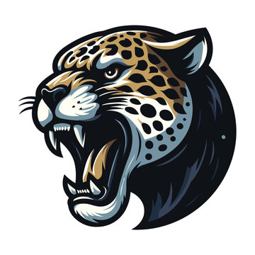 Wild roaring jaguar leopard head face vector illustration, zoology illustration, animal predator big cat design template isolated on white background