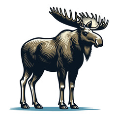 Fototapeta premium Moose buck elk full body vector illustration, zoology illustration, wild animal moose design template isolated on white background