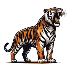 Obraz premium Wild roaring tiger full body vector illustration, zoology illustration, animal predator big cat design template isolated on white background