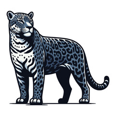 Fototapeta premium Wild jaguar leopard full body vector illustration, zoology illustration, animal predator big cat design template isolated on white background