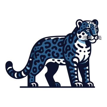 Wild jaguar leopard full body vector illustration, zoology illustration, animal predator big cat design template isolated on white background