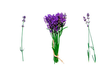 Lavender bouquet and individual lavender sprigs on an isolated transparent background, design element, provencal concept - obrazy, fototapety, plakaty