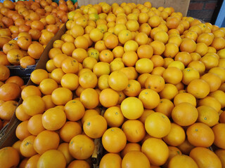 Oranges - fruit