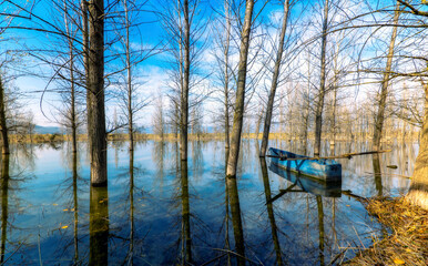 Obraz premium landscape with lake