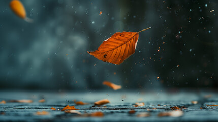 An autumn leaf falling background
