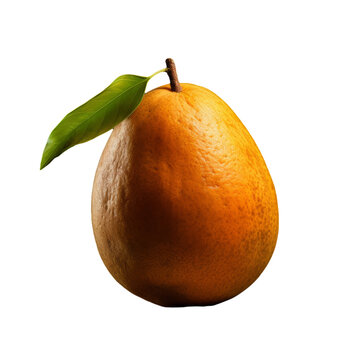 zapote isolated on transparent background, png