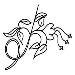 Vintage Baroque design pattern element engraving retro style