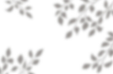 Transparent shadow of a tree branch, shadow overlay effects on a transparent background