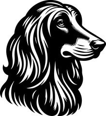  Afghan Hound icon 