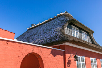 Fototapeta premium 23-03-2023 Svogerlev, Denmark: Red restaurant with thatched roof blue sky