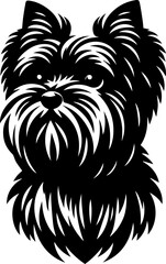 Affenpinscher icon 