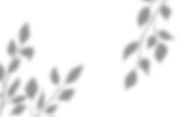 Transparent shadow of a tree branch, shadow overlay effects on a transparent background