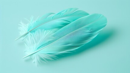 Falling tosca color feather, Abstract background texture. copy space, wings. 