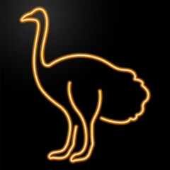 ostrich neon sign, modern glowing banner design, colorful modern design trend on black background. Vector illustration.