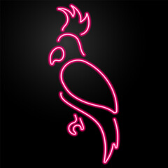 Obraz premium parrot neon sign, modern glowing banner design, colorful modern design trend on black background. Vector illustration.