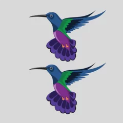 Fotobehang Kolibrie Hummingbird - Golden tailed sapphire. Hand drawn vector illustration of a flying Golden tailed sapphire hummingbird with colorful glossy plumage on transparent background.
