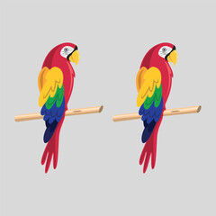 Hummingbird - Golden tailed sapphire. Hand drawn vector illustration of a flying Golden tailed sapphire hummingbird with colorful glossy plumage on transparent background.