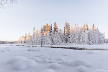 Manteau de neige recouvrant la forêt en Laponie