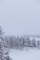 Panorama sur la forêt finlandaise enneigée