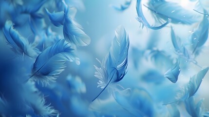 Close up of Bright Blue feather Abstract background texture.	