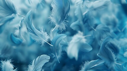 Close up of Bright Blue feather Abstract background texture.	 - obrazy, fototapety, plakaty